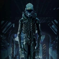 Prime 1 Studio Alien Museum Art Big Chap 1/3 Scale Statue