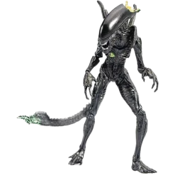 Hiya Toys Alien Vs. Predator Blowout Alien Warrior 1:18 Scale PX Previews Exclusive Action Figure