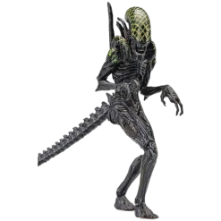 Hiya Toys Movies / TV Alien Vs. Predator Grid Alien 1:18 Scale PX Previews Exclusive Figure