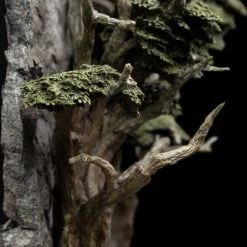 Weta Workshop The Lord Of The Rings Doors Of Durin Statue